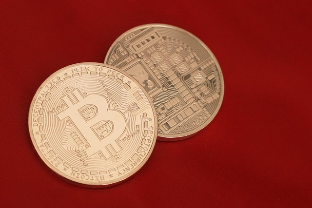 Emerging Altcoins with High Growth Potential in 2024