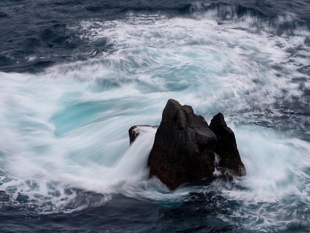 Final Thoughts: Navigating Uncertainty in a Rapidly Evolving Market