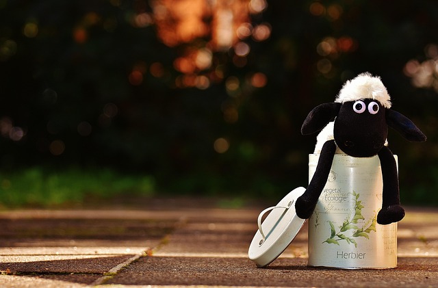 Supported brokers and instruments