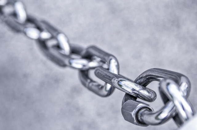 What Are Crypto Pump Signals and How Do WhatsApp Groups Function?