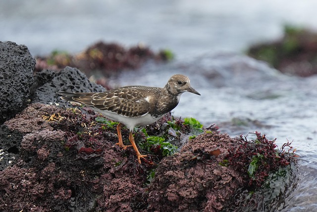 Overview: What is TradingView and why it matters