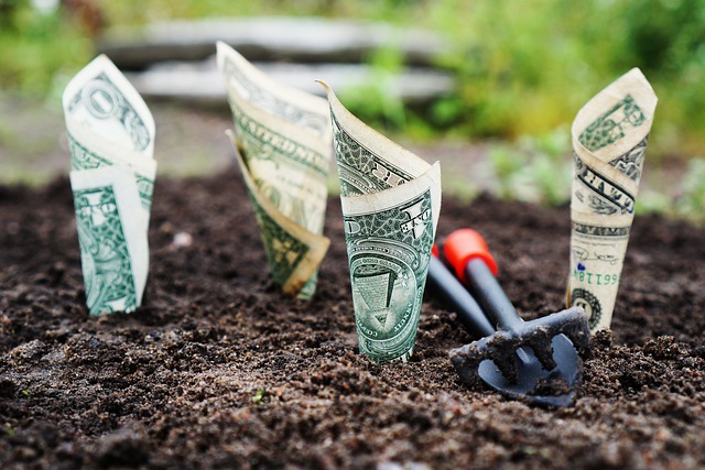 Decoding Bonuses: Types, Structures, and Their Role in Financial Ecosystems