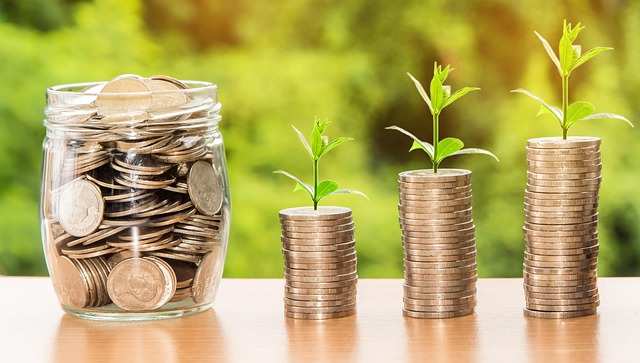Understanding Investment Bonuses and Their Strategic Significance
