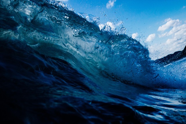 Conclusion: Navigating the Volatility with Knowledge and Strategy