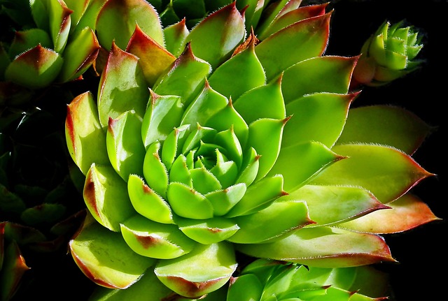 What is Binance and why people ask “can you trade in Binance”?