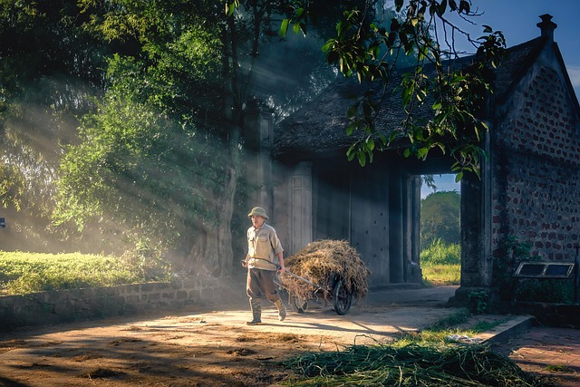 Why Bitget Daily Trading Volume Matters