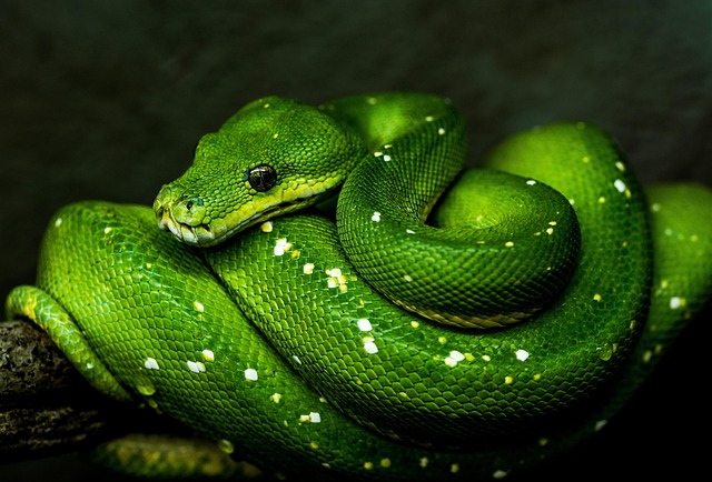Understanding Binance Futures Trading and Python Integration: Foundations for Success