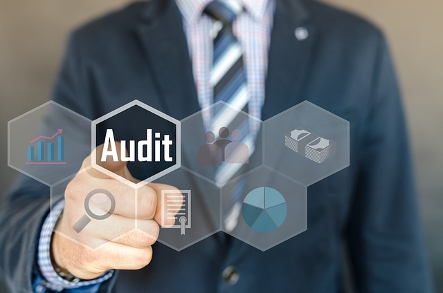 auditors