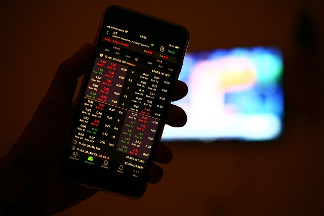 Platform Overview and User Interface: Harmonizing Simplicity with Advanced Capabilities