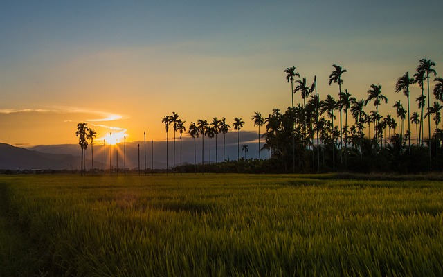 Conclusion: Building a Sustainable Binance Futures Trading System