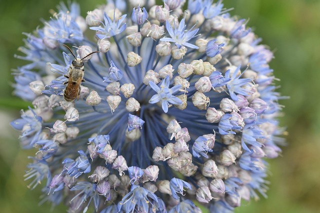 Real-world considerations and hidden costs