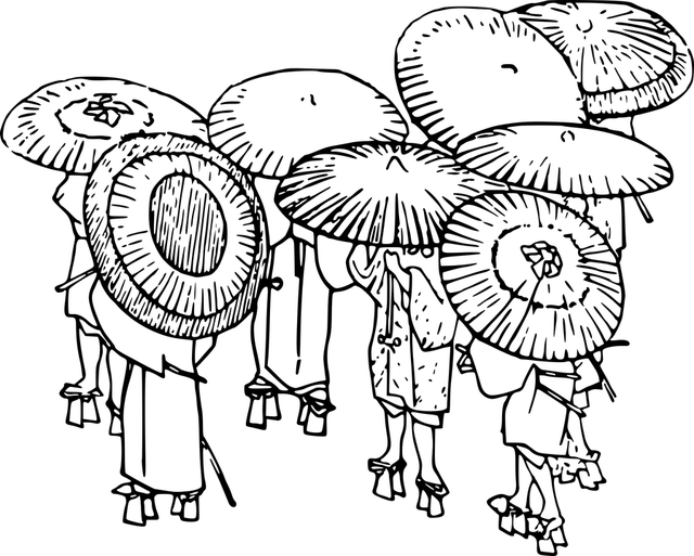 Programas de Afiliados