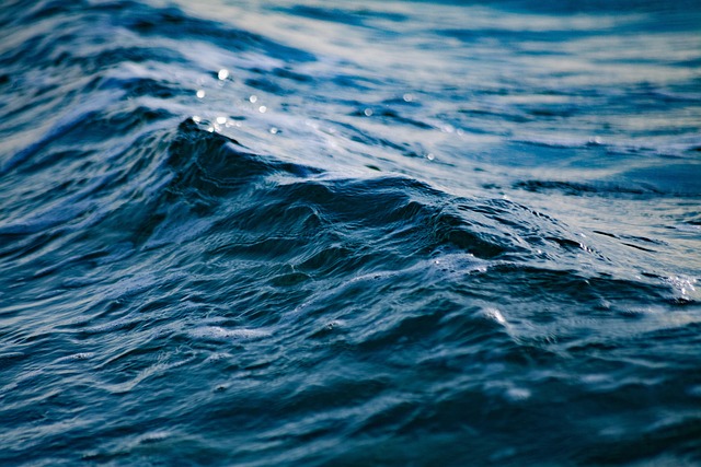 Legal Developments: The Ripple SEC Lawsuit and Its Impact