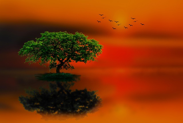 Setting up alerts and automation for live price monitoring