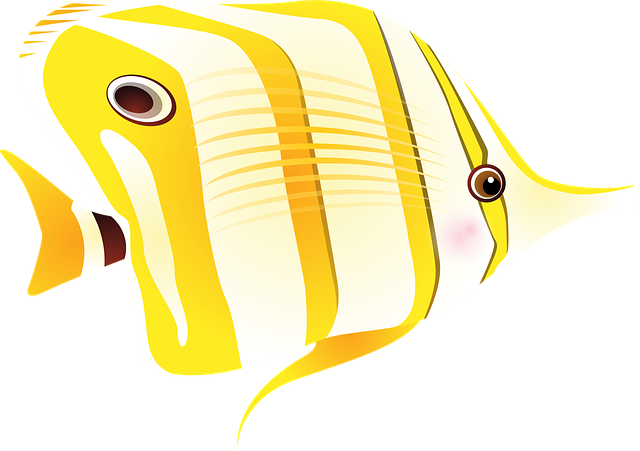 What are webhooks and why Stripe webhook events docs matter?