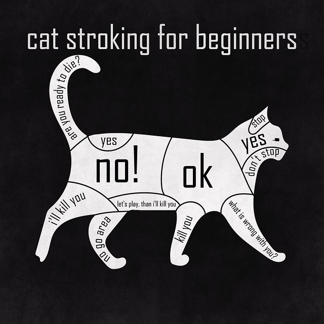 Examples: Simple trade setups