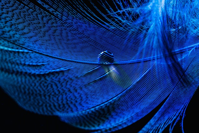 Why predicting whether Bitcoin will go up or down today is difficult