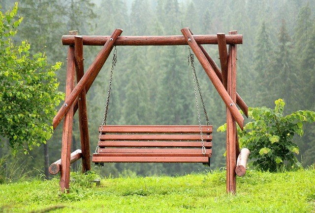 Swing