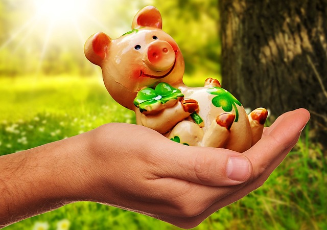 Fee Structure and Cost Efficiency