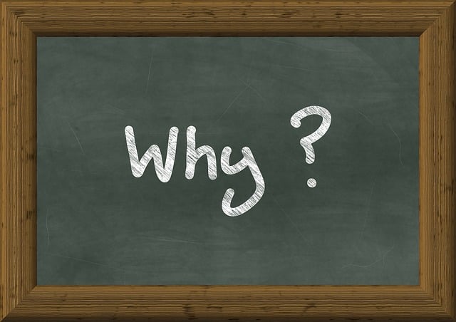 Supply Dynamics, Scarcity, and Market Impact
