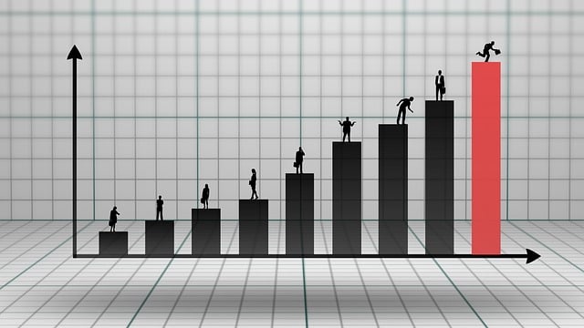 Risk Management and Diversification