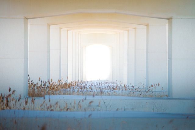 Common Challenges and Limitations in Spectral Prediction