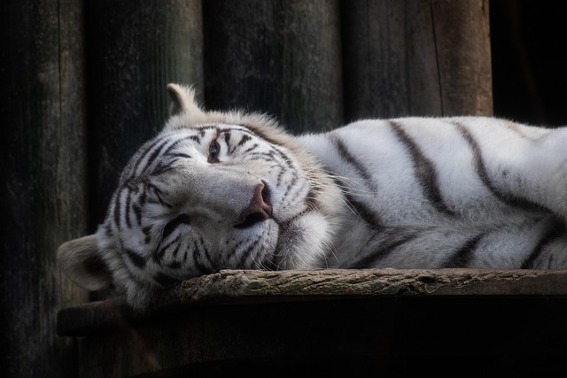 Practical tips for safe use of Bybit (or any centralized exchange)