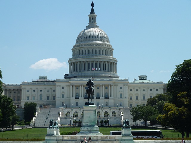 government