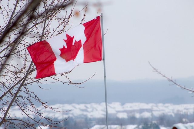 Canadian