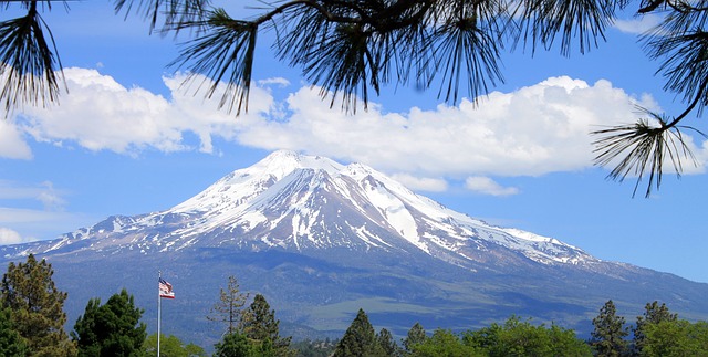 MT5,