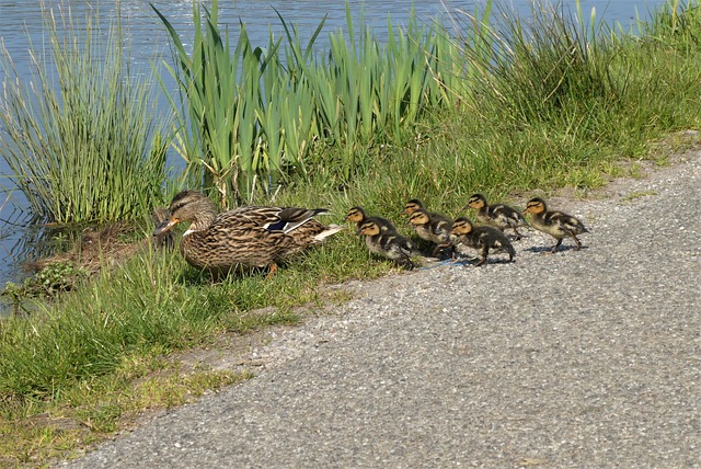 What is TradingView?