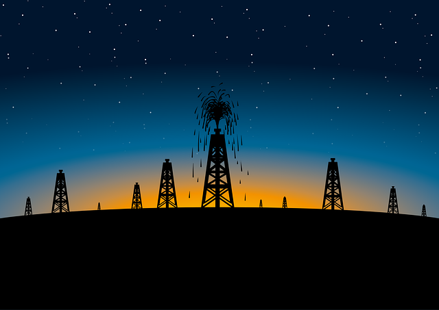 Practical Applications of Petroleum Ether NMR Signal Interpretation