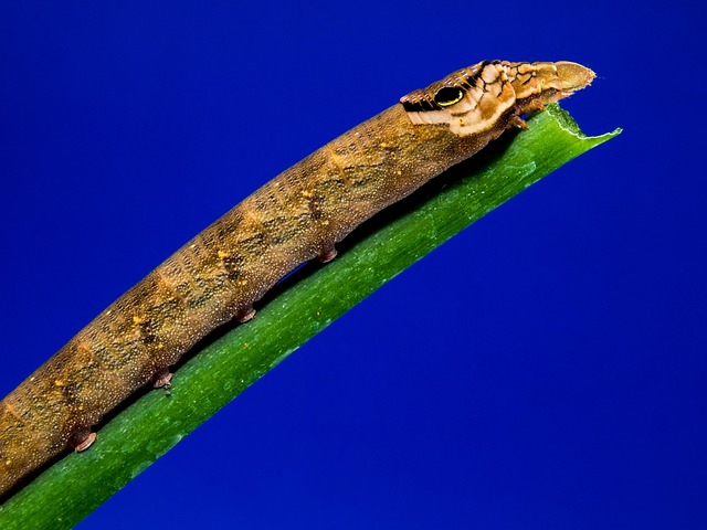 14. Legal and regulatory considerations