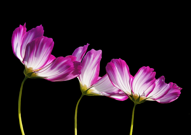 Three