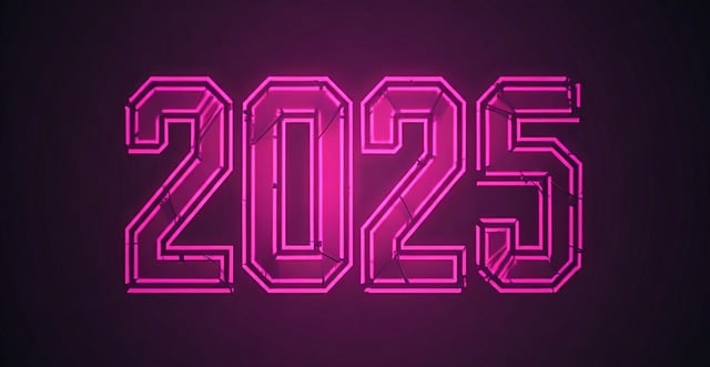 2025년