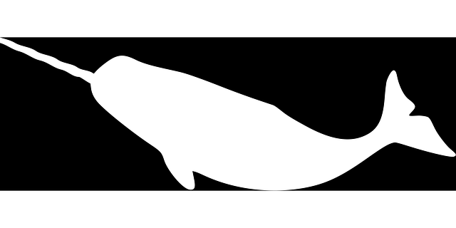 Alternatives and where to go next