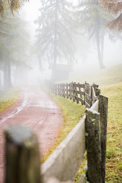 Pathway