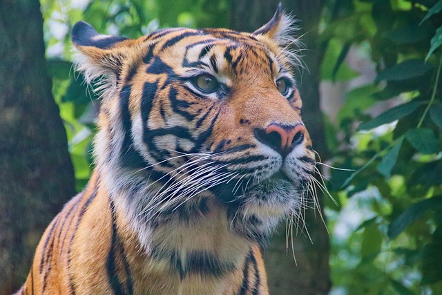 5. Regulation and legal considerations