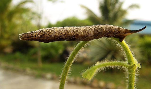 Risk management: the most important factor