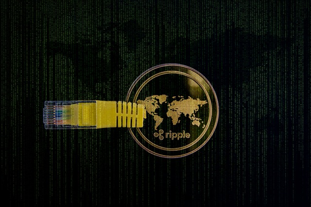 Introduction à la Gestion de Cryptomonnaies : Pourquoi Opter pour Ledger Après Trade Republic ?