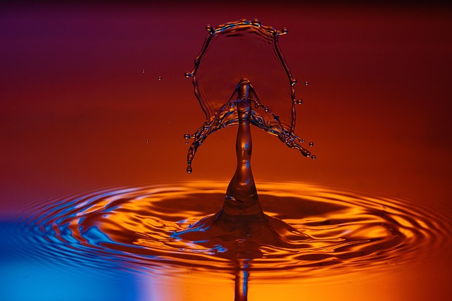 Quick overview: Common reasons people ask “why did BTC go up today”