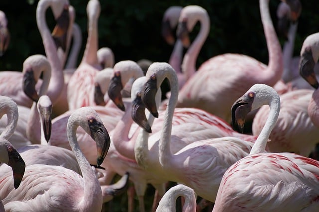 Group