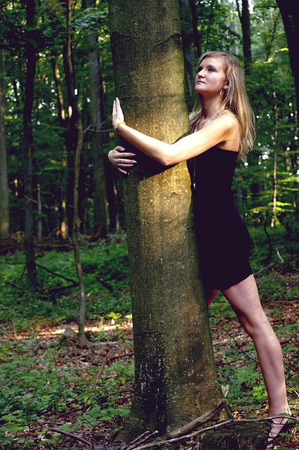 Why connect MT4 to TradingView?