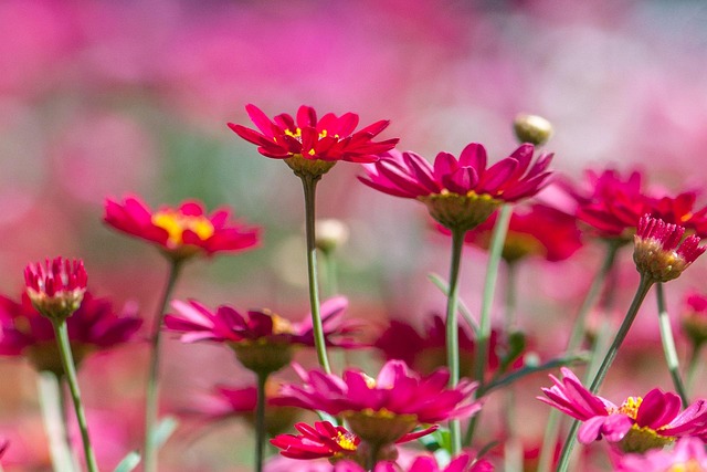 Case Study: Combining Signals, Bots and Manual Oversight