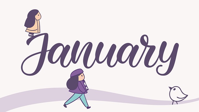 What will likely influence XRP price by end of January 2025?