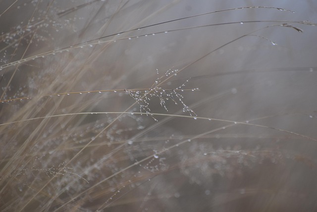 15. Final take: a balanced conclusion