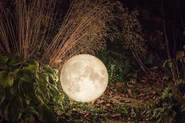 luna.x
