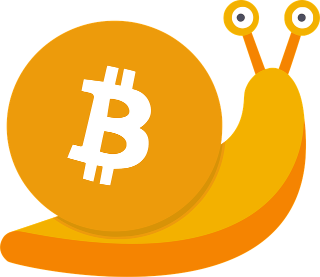 Conclusion: Charting the Future of Bitcoin Toward 2040