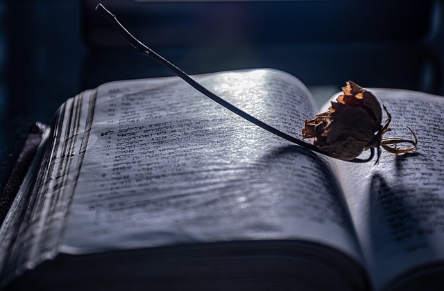 SEO tips to find PDFs and Hindi resources legally