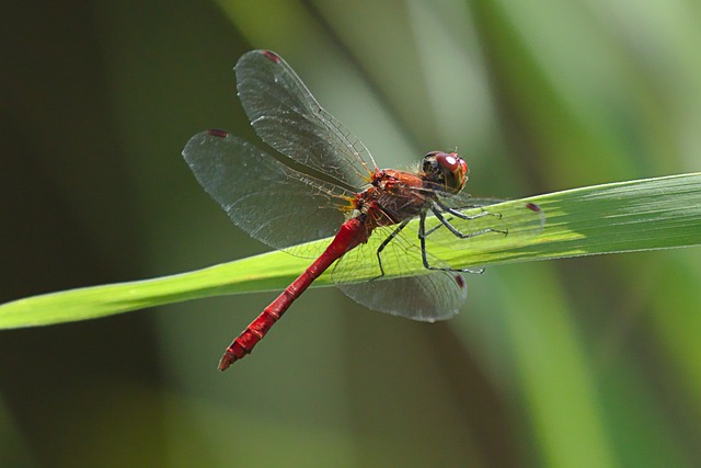 How to close a spot trade on Bybit — Step-by-step (Web)